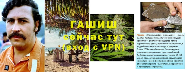 крисы Абаза