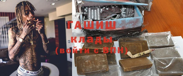 крисы Абаза