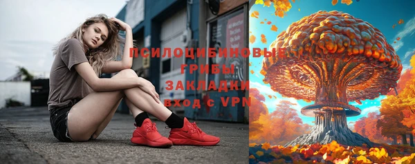 сатива Новодвинск