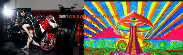 первитин Новозыбков